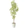 光触媒 人工観葉植物 造花 スリムバウヒニア1.5 (高さ150cm) (2429A240)