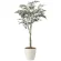 光触媒 人工観葉植物 造花 オリーブツリー1.85(組立式) (高さ185cm) (2437A450)