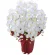 光触媒 人工観葉植物 造花 エレガント胡蝶蘭7本立W (高さ68cm) (2445A100)