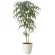 光触媒 人工観葉植物 造花 ショウナンゴム1.6 (高さ160cm) (2454A400)