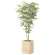 光触媒 人工観葉植物 造花 ウッドボックストネリコミックス1.8 (高さ180cm) (2457A620)