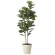 光触媒 人工観葉植物 造花 カシワバゴム1.8 (高さ180cm) (2466A430)