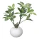 光触媒 人工観葉植物 造花 シェフレラポット (高さ23cm) (246A30)