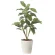 光触媒 人工観葉植物 造花 フィロ90 (高さ90cm) (2490R80)