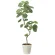 光触媒 人工観葉植物 造花 ツイストウンベラータ1.6 (高さ160cm) (2495A450)
