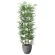 光触媒 人工観葉植物 造花 ナチュラル黒竹1.6 (高さ160cm) (2504R430)