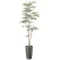 光触媒 人工観葉植物 造花 スリムトネリコ1.8 (高さ180cm) (2509A400)