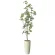 光触媒 人工観葉植物 造花 スリムサラサドウダン1.7 (高さ170cm) (2515R360)