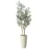 光触媒 人工観葉植物 造花 スリムオリーブ1.6 (高さ160cm) (2519R400)
