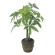光触媒 人工観葉植物 造花 パキラポットM (高さ41cm) (252K50)