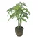 光触媒 人工観葉植物 造花 パキラポットM (高さ41cm) (252K50)