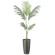 光触媒 人工観葉植物 造花 スリムフレッシュパーム1.55 (高さ155cm) (2531A250)