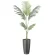 光触媒 人工観葉植物 造花 スリムフレッシュパーム1.55 (高さ155cm) (2531A250)