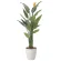 光触媒 人工観葉植物 造花 ストレチア花付1.5 (高さ150cm) (2565A500)