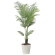 光触媒 人工観葉植物 造花 フレッシュパーム1.5 (高さ150cm) (2566A370)
