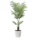 光触媒 人工観葉植物 造花 フレッシュパーム1.5 (高さ150cm) (2566A370)