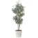 光触媒 人工観葉植物 造花 デラックスオリーブ1.8 (高さ180cm) (2573A600)