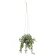 光触媒 人工観葉植物 造花 プミラハンギング (高さ110cm) (2583A150)