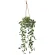 光触媒 人工観葉植物 造花 フィロハンギング (高さ100cm) (2584A100)