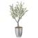 光触媒 人工観葉植物 造花 インテリアオリーブ1.25 (高さ125cm) (2591A300)