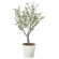 光触媒 人工観葉植物 造花 デラックスオリーブ1.1 (高さ110cm) (2594A240)