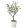 光触媒 人工観葉植物 造花 デラックスオリーブ1.1 (高さ110cm) (2594A240)