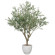 光触媒 人工観葉植物 造花 オリ―ブ2.5(組立式) (高さ250cm) (2606A4000)