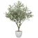光触媒 人工観葉植物 造花 オリ―ブ2.5(組立式) (高さ250cm) (2606A4000)