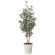 光触媒 人工観葉植物 造花 オリーブ1.35 (高さ135cm) (2615A260)