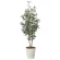 光触媒 人工観葉植物 造花 オリーブ1.35 (高さ135cm) (2615A260)
