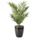光触媒 人工観葉植物 造花 パーラーパーム (高さ70cm) (2621A85)