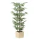光触媒 人工観葉植物 造花 ウッドボックス黒竹1.2 (高さ120cm) (2632A300)