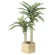 光触媒 人工観葉植物 造花 ウッドボックス幸福の木1.0 (高さ100cm) (2634A300)