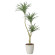 光触媒 人工観葉植物 造花 ユッカS1.3 (高さ130cm) (2636A100)