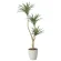 光触媒 人工観葉植物 造花 ユッカS1.3 (高さ130cm) (2636A100)