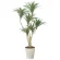 光触媒 人工観葉植物 造花 ユッカW1.3 (高さ130cm) (2637A180)