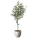 光触媒 人工観葉植物 造花 ナチュラルオリーブ1.6 (高さ160cm) (2649A620)