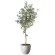 光触媒 人工観葉植物 造花 ナチュラルオリーブ1.6 (高さ160cm) (2649A620)
