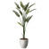 光触媒 人工観葉植物 造花 ナチュラルストレチア1.6 (高さ160cm) (2651A460)