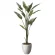 光触媒 人工観葉植物 造花 ナチュラルストレチア1.6 (高さ160cm) (2651A460)