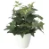 光触媒 人工観葉植物 造花 アイビ―M (高さ38cm) (2704A50)