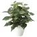 光触媒 人工観葉植物 造花 ポトスM (高さ38cm) (2705A50)
