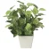 光触媒 人工観葉植物 造花 ミニポトス (高さ24cm) (2707A30)