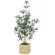 光触媒 人工観葉植物 造花 ウッドボックスオリーブ90 (高さ90cm) (2716A210)