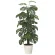 光触媒 人工観葉植物 造花 モンステラ  1.6 (高さ160cm) (2720A430)
