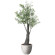 光触媒 人工観葉植物 造花 ナチュラルオリーブ1.7 (高さ170cm) (2731A800)