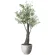 光触媒 人工観葉植物 造花 ナチュラルオリーブ1.7 (高さ170cm) (2731A800)