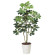 光触媒 人工観葉植物 造花 カポック斑入り1.2 (高さ120cm) (371K165)