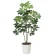 光触媒 人工観葉植物 造花 カポック斑入り1.2 (高さ120cm) (371K165)