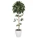 光触媒 人工観葉植物 造花 ベンジャミントピアリー 1.2 (高さ120cm) (372B180)
